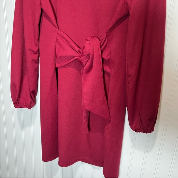 PRETTYGARDEN Women's Large 12-14 Long Sleeve Short Dress Crewneck Tie Waist NWT - Picture 5 of 13